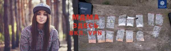 ГАЛЛЮЦИНОГЕННЫЕ ГРИБЫ Дмитриев