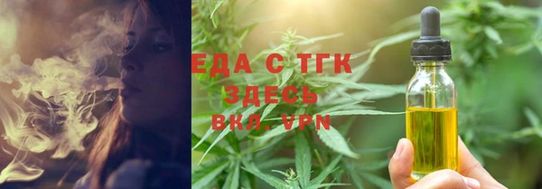 тгк Дмитров