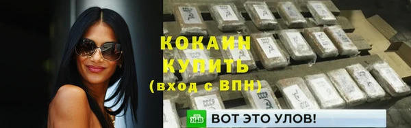 хмурый Дмитровск
