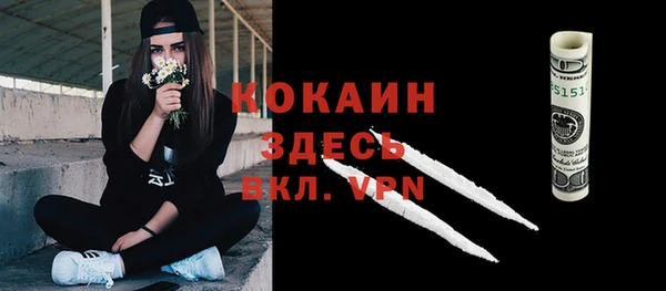хмурый Дмитровск