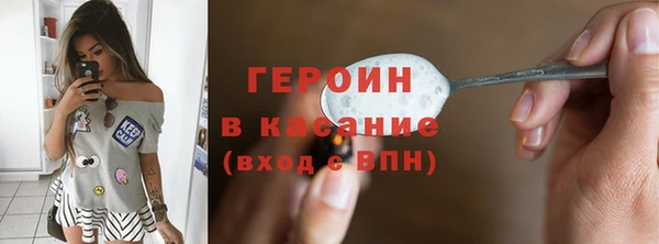 ГАЛЛЮЦИНОГЕННЫЕ ГРИБЫ Дмитриев