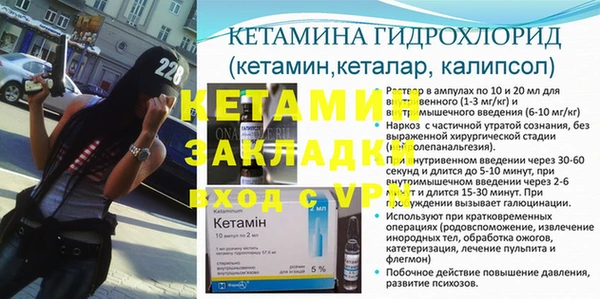 ГАЛЛЮЦИНОГЕННЫЕ ГРИБЫ Дмитриев