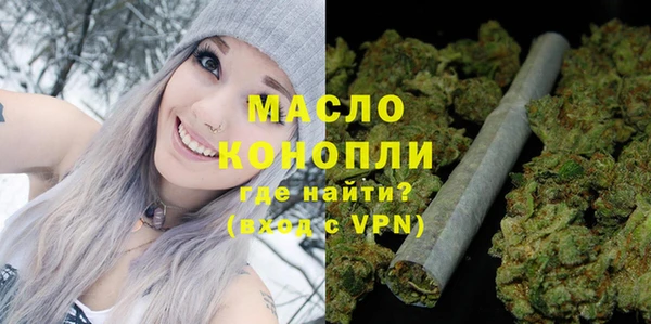 ГАЛЛЮЦИНОГЕННЫЕ ГРИБЫ Дмитриев