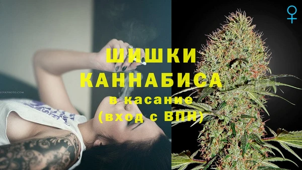 ГАЛЛЮЦИНОГЕННЫЕ ГРИБЫ Дмитриев