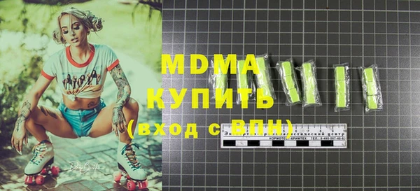 ГАЛЛЮЦИНОГЕННЫЕ ГРИБЫ Дмитриев