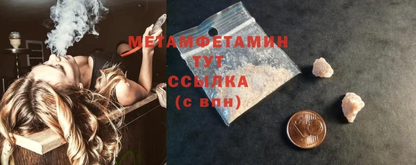 ГАЛЛЮЦИНОГЕННЫЕ ГРИБЫ Дмитриев