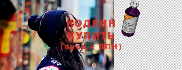 ГАЛЛЮЦИНОГЕННЫЕ ГРИБЫ Дмитриев