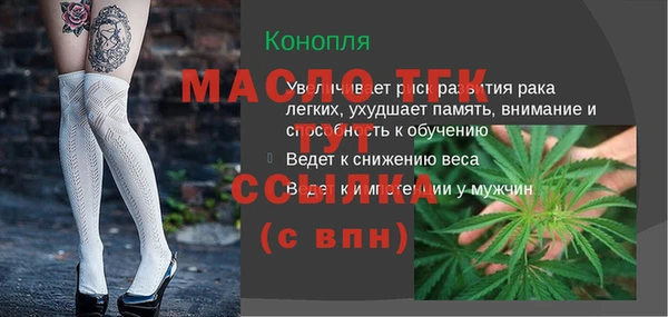 хмурый Дмитровск