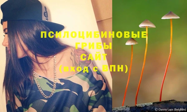 тгк Дмитров