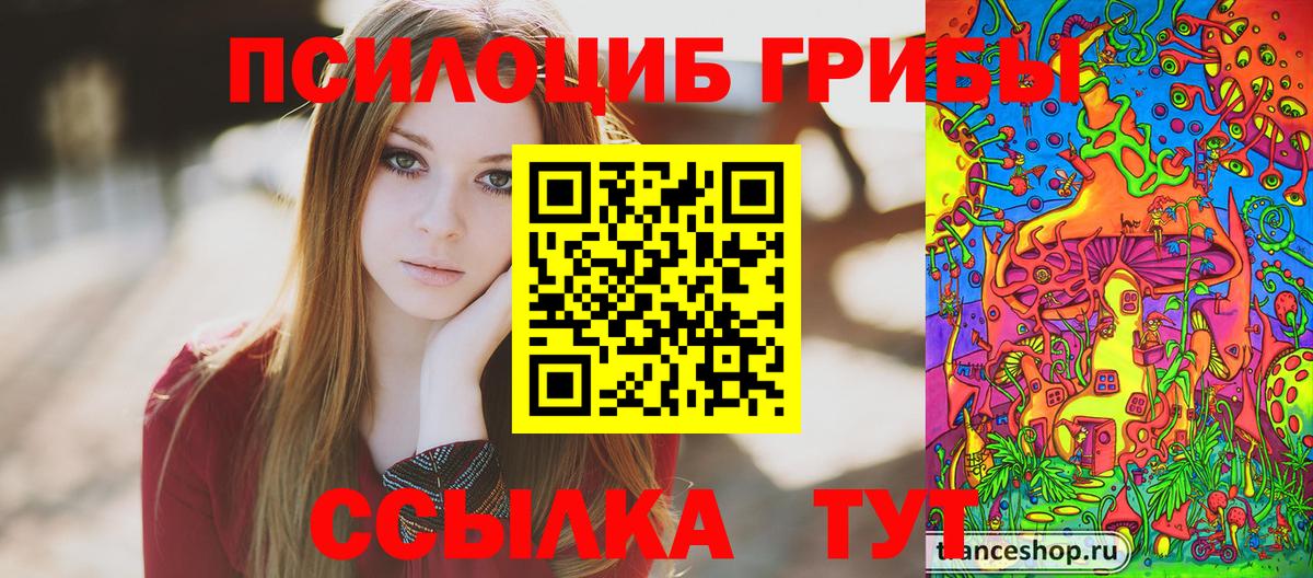 Татарск  Псилоцибиновые грибы ЛСД  Вход с VPN  Галлюциногенные грибы Cubensis 