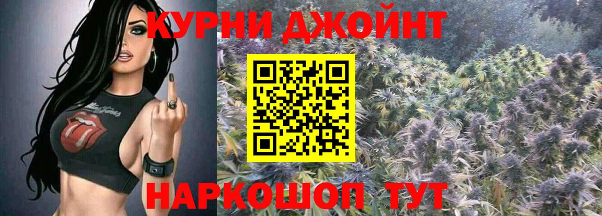 Марихуана ГИДРОПОН  Марихуана план  Вход с VPN  Конопля конопля  Марихуана SATIVA & INDICA  Татарск 
